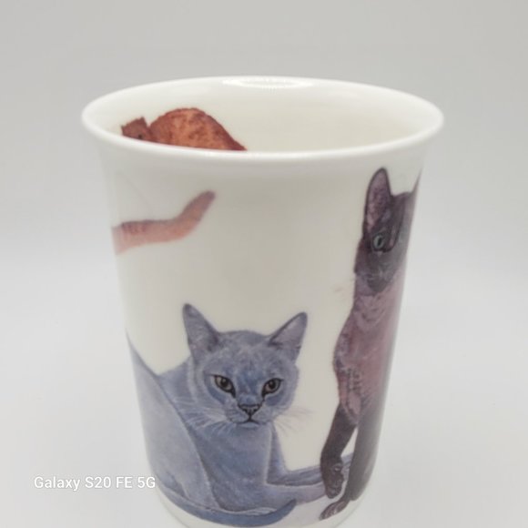 CATS GALORE Fine Bone China LANCASTER Mug by ROY KIRKHAM - Picture 7 of 9
